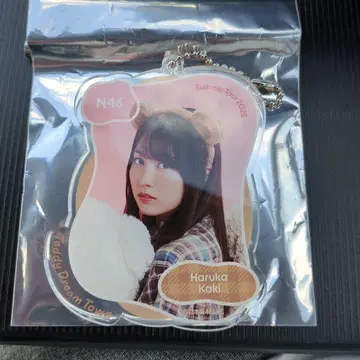 노기자카46 카키 하루카 A상 아크릴 키홀더 곰 NOGI 넘기기