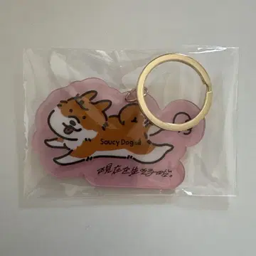 SaucyDog 배틀 리얼리 랜덤 키링 핑크