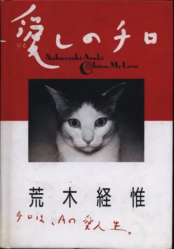 아라키 노부요시 사랑스러운 치로