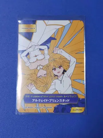 TYPE-MOON 애니메이트 월희 알퀘이드 브륀스터드 FGO