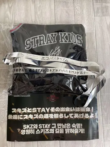 Stray Kids 업그레 혜택 dominATE 시즈오카 에코파 5/18