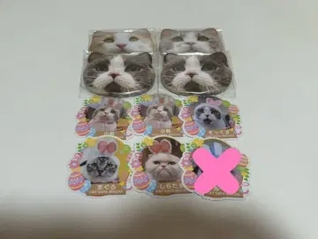 고양이 카페 MOCHA 교토 가와라마치점 굿즈 세트