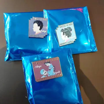 아카자 핀즈