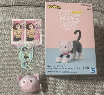 히로아카 오챠코
