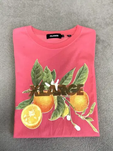 XLARGE 티셔츠