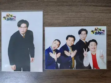 갓쨩코 브로마이드 케빈스 니키 나마 파라오