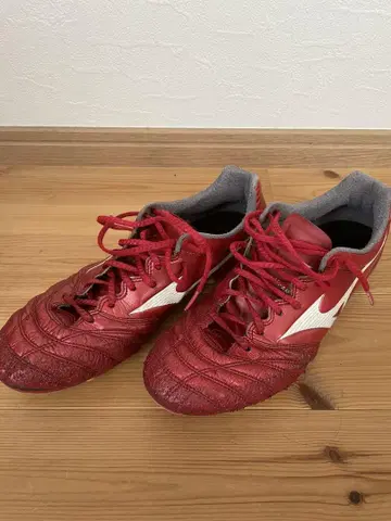 Mizuno 모나르시다 네오