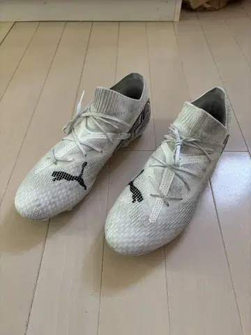 푸마 퓨처 HG