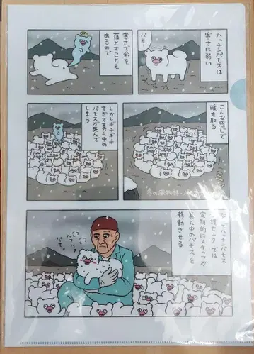큐라이스 만박 클리어 파일 핫친파모스