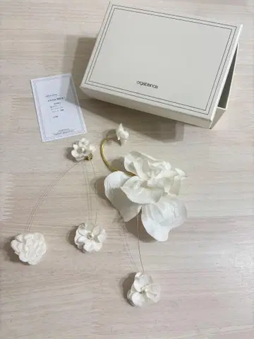 [ orgablanca ] BERTA earring (베르타 귀찌)