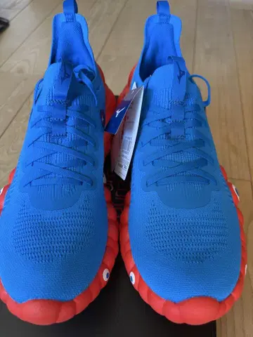 Mizuno 워킹화 28.0cm 파랑/빨강