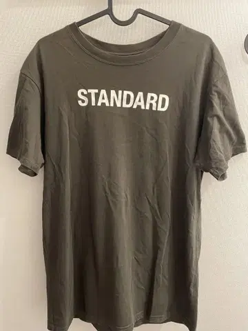 THE NORTH FACE STANDARD 티셔츠 XL