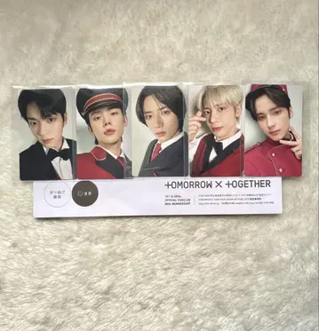 TXT 2023 설문 트레이딩 카드