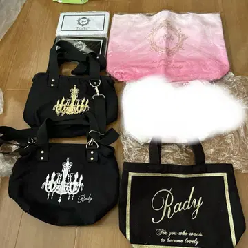 치비 Rady 숄더 마스크 케이스 토트백