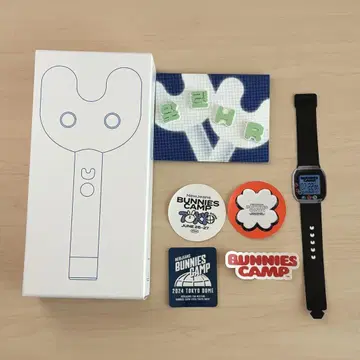new jeans 해린 응원봉 bunnies 바니캔 핑키봉