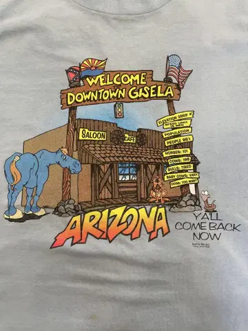 ARIZONA 애리조나 앞면 프린트 T셔츠 (ARIZONA)