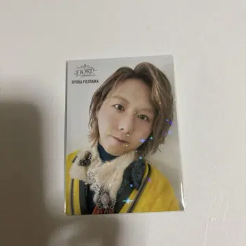 피요르드 후지사와 료카 레어 40 040