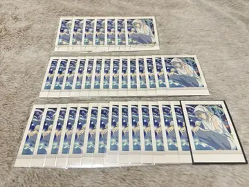 아이나나 타마키 파샤코레 토끼 귀 금박