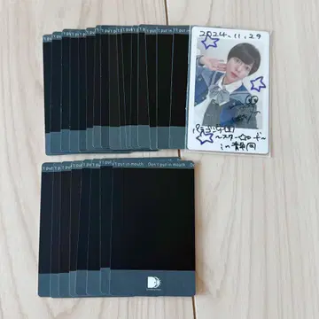 팬더 드래곤 뱃지 낙서 외 하피카 24개