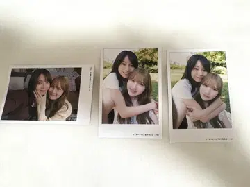 아야히로 인스턴트 카메라풍 카드