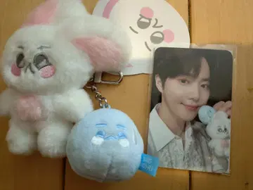 SUHO 봉제 인형과 포토 카드 세트