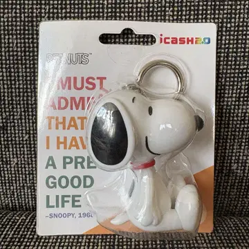 대만 한정판 스누피 iCash2.0 IC 카드 PEANUTS 키링