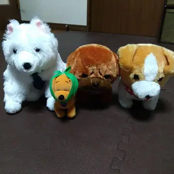 강아지 봉제 인형 묶음 판매