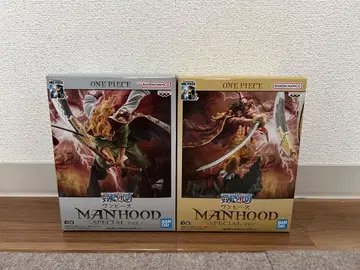 ONE PIECE MANHOOD -SPECIAL ver.-