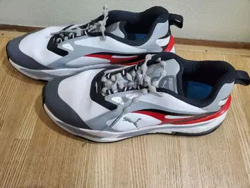 PUMA 골프화 25 cm