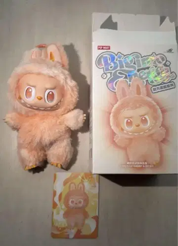 POP MART 구매품 에너지 라부부