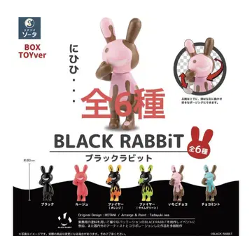 BLACK RABBiT 블랙 래빗 블라인드 BOX판