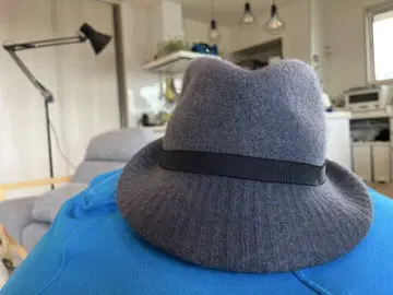 카시라 그레이 울 햇