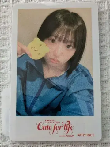 타카네노 나데시코 스즈미 스우 온라인 복권 10연 혜택
