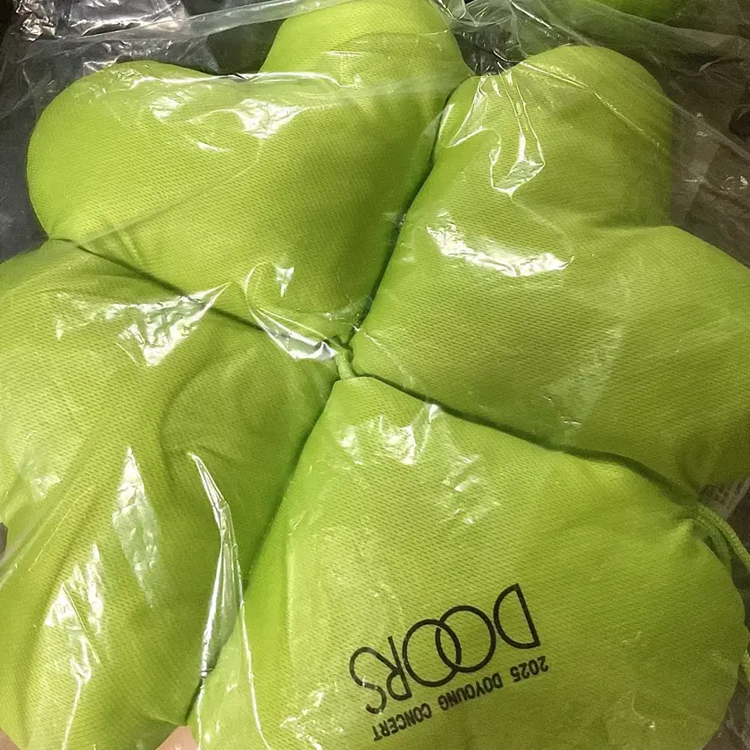 NCT | 엔시티 NCT Doyoung Concert Clover Cushion Sealed WTS