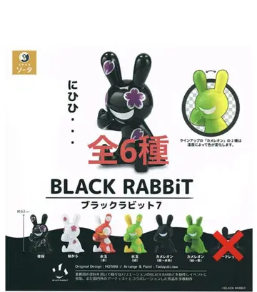 BLACK RABBiT 블랙 래빗 7