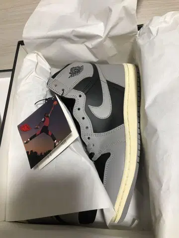 Air Jordan 1 High '85 Reverse Shadow