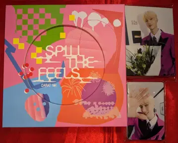 SEVENTEEN CARAT반 DK SPILL THE FEELS 도겸