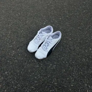 PUMA speed cat 화이트 25.5
