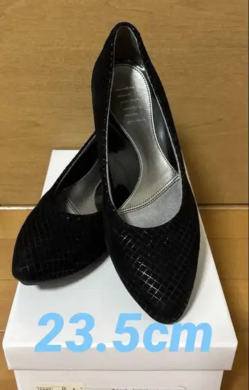 포인티드 팜프니카