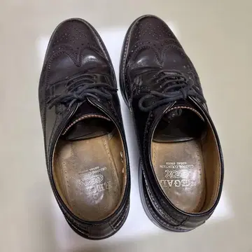 REGAL GEOX 다크 브라운