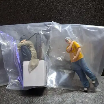 사카모토 데이즈 푸치라마 나구모 사카모토