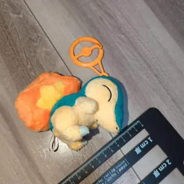 포켓몬 카라비너 마스코트 브케인 봉제 인형 포켓몬 센터 택 없음