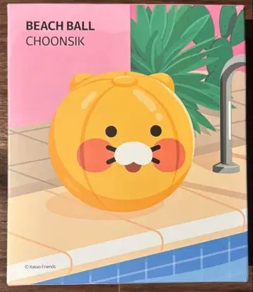 [정품] 카카오프렌즈 KAKAOFRIENDS 비치볼 춘식이 1