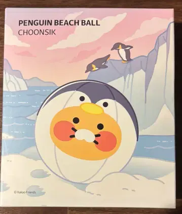 [정품] 카카오프렌즈 KAKAOFRIENDS 비치볼 춘식이 2