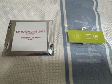 SMTOWN LIVE 2025 네임 배지 NCT 도영