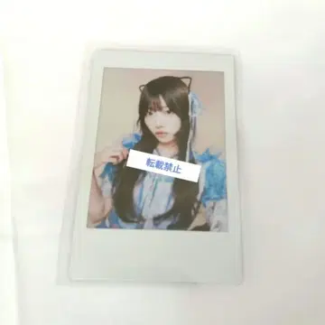 SWEET STEADY 오쿠다 아유미 체키 온라인 특전회 파랑조