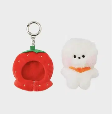 BT21 mini minini 후르츠 봉제인형 키링 RJ