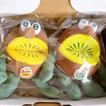 Zespri 제스프리 키위브라더스 키링 타입 봉제인형 2개입