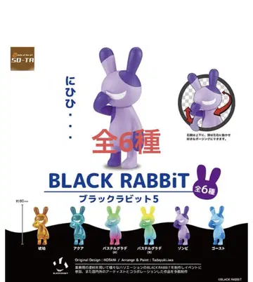 BLACK RABBiT5 블랙 래빗 블라인드 BOX판