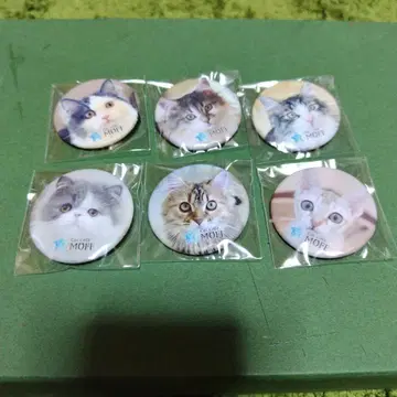 catcafemoff 하마마츠 시토로점 가챠가챠 캔뱃지 세트